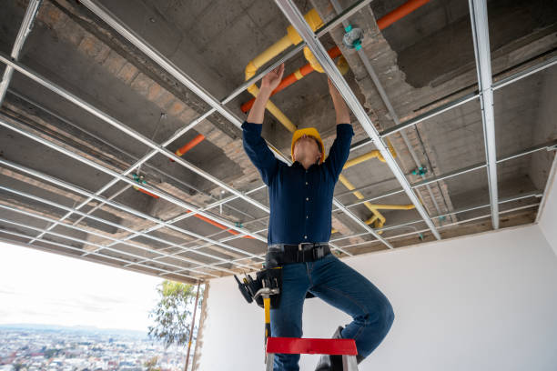 Reliable Temple Terrace, FL Plumbing Solutions