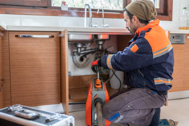 Best Local Plumber Services  in Temple Terrace, FL